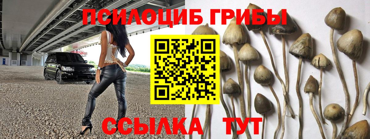 Галлюциногенные грибы прущие грибы Псков